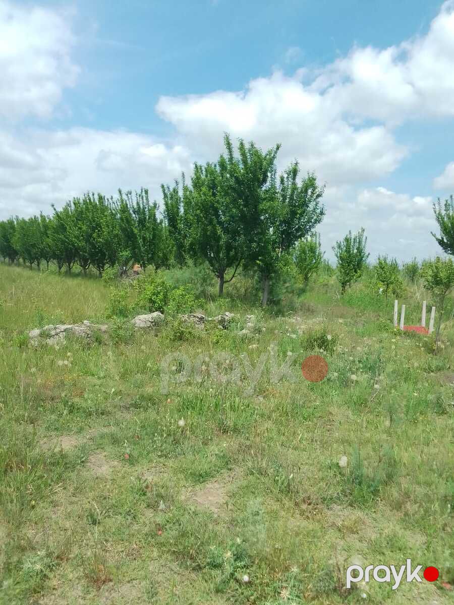 Satılır torpaq 4200 sot — Torpaq, Ağdaş (2)