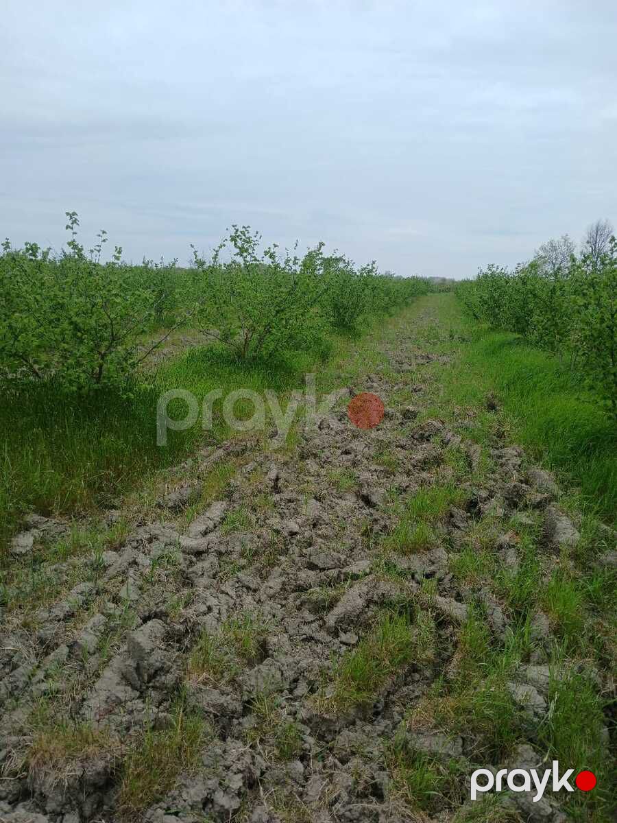 125 sot torpaq sahəsi, Xaçmaz r — Torpaq, Xaçmaz (2)