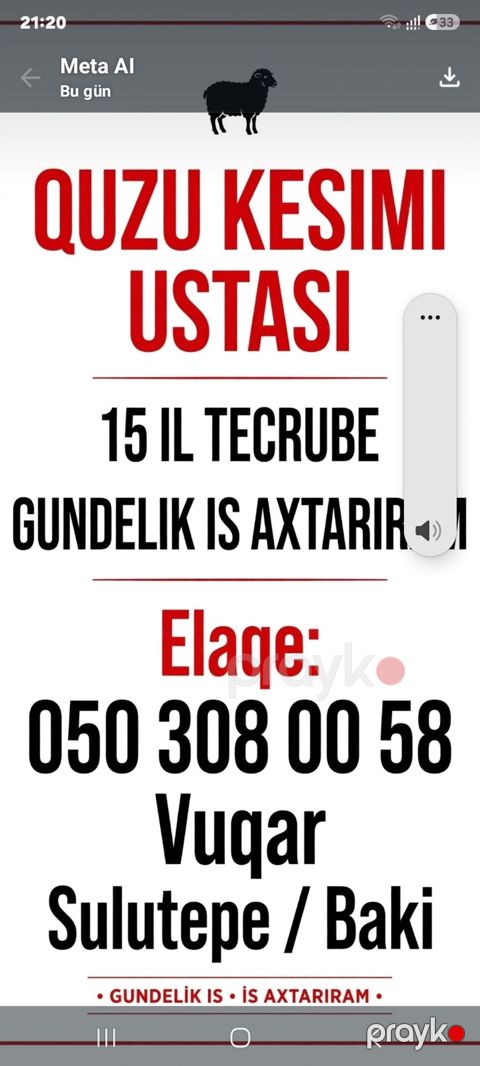 Xidmət: Quzu kəsimi ustası Təsvir: - Peşəkar quzu kəsimi və — Bakı