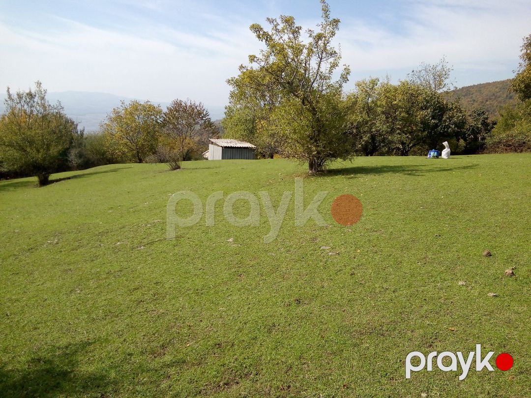 30 sot torpaq sahəsi, İsmayıllı r — Torpaq, İsmayıllı (3)
