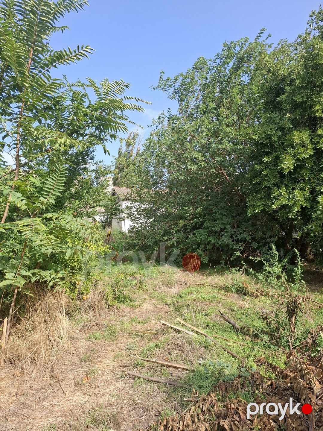 Satılır torpaq 7 sot — Torpaq, Bakı (5)