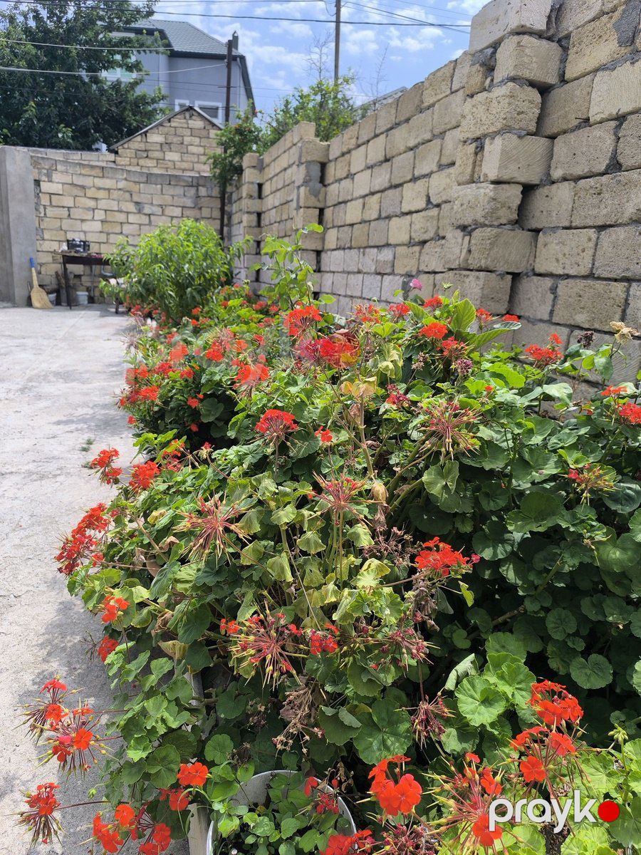 Satılır 4 otaqlı həyət evi/bağ evi 130 m² — Ev, villa, Bakı (5)