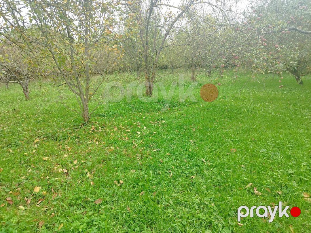 10 sot torpaq sahəsi, Quba r — Torpaq, Quba (4)