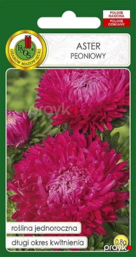 Gül toxumları Pnos Aster Peoniowy Çəhrayı 0.8 q — Bakı