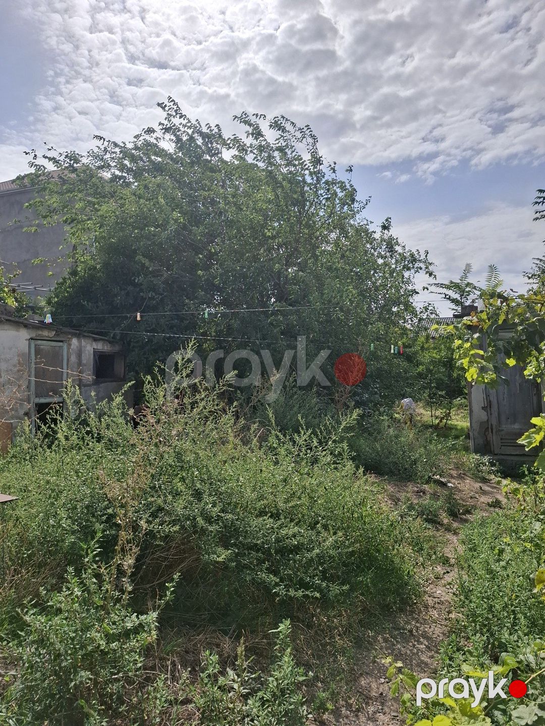 Satılır torpaq 7 sot — Torpaq, Bakı (7)