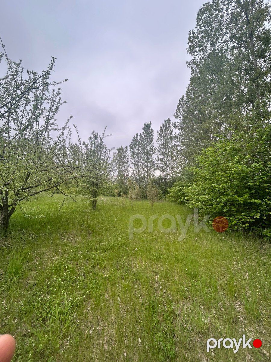 12 sot torpaq sahəsi, Qusar r — Torpaq, Qusar (2)