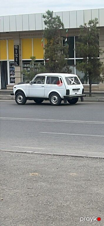 Lada (VAZ) Niva, 1.7 L, 2008 il, 210 000 km — Avtomobillər, Ucar (4)