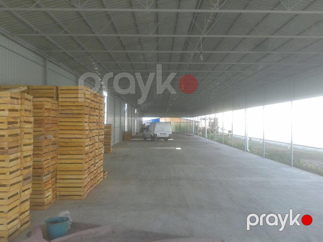 Satılır obyekt 500000 m² — Əmlak, Salyan (7)