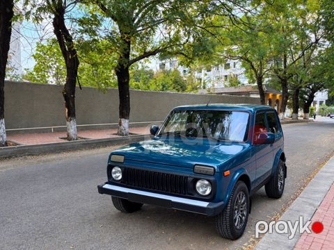 Lada (VAZ) Niva, 1.7 L, 2013 il, 180 000 km — Lənkəran