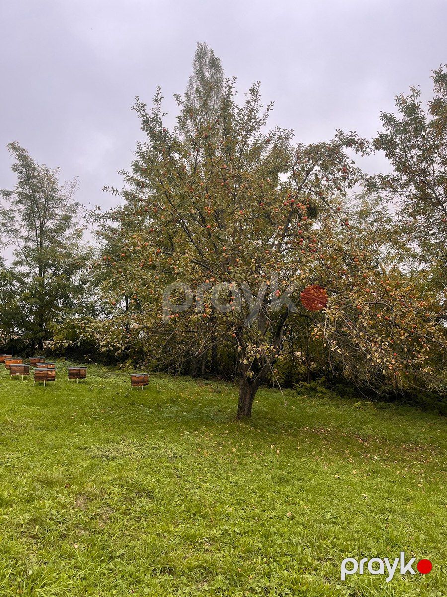 30 sot torpaq sahəsi, Qusar r — Torpaq, Qusar (5)