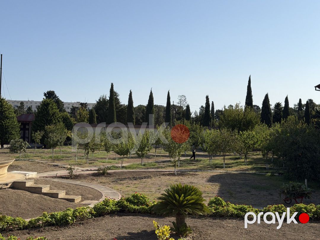 Satılır torpaq 56 sot — Torpaq, Bakı (2)