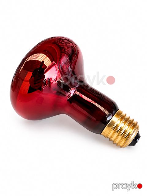 Qızdırıcı lampa İlməzli, inkubator üçün, 15x19x20 sm, 100 Vt — Bakı