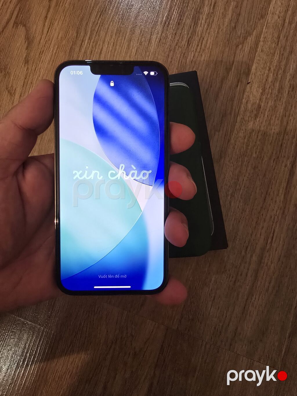 IPhone 13 Pro, 128 GB, Alpine Green, Face ID — Apple iPhone, Digah (3)