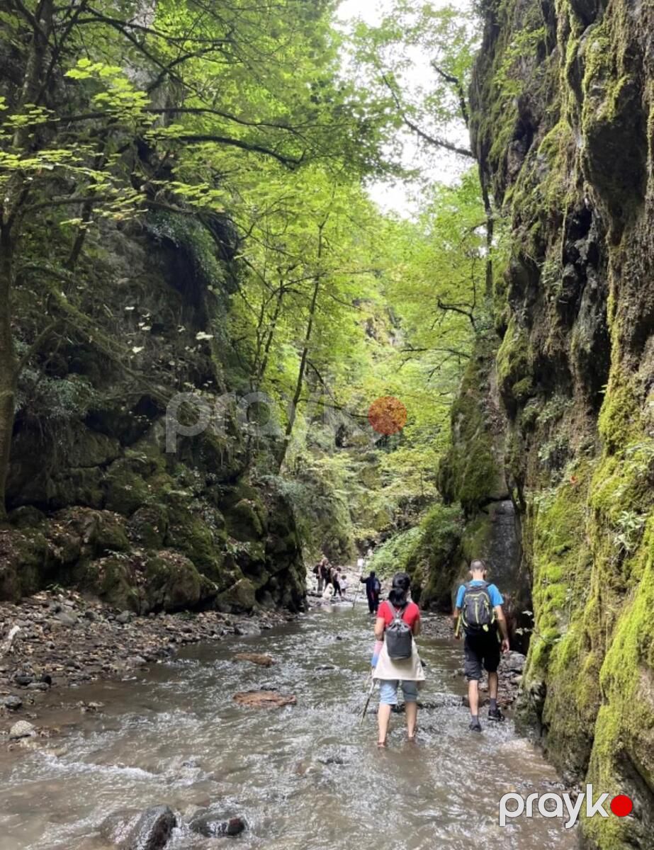 Satılır torpaq 14 sot — Torpaq, Lerik (11)