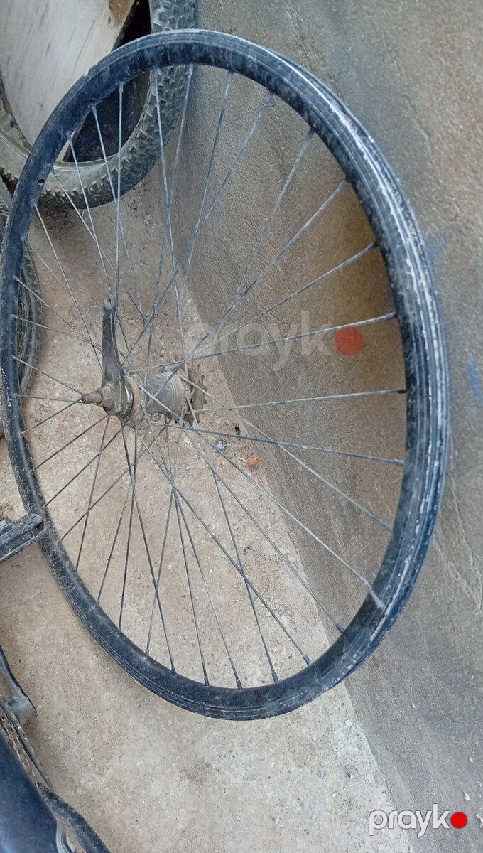 Velosiped — Velosipedlər, Bakı (5)