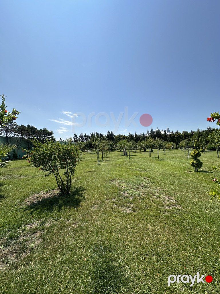 Satılır torpaq 9 sot — Torpaq, Bakı (3)
