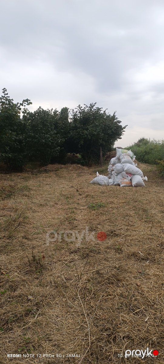 35 sot torpaq sahəsi, Xaçmaz r — Torpaq, Xaçmaz (2)