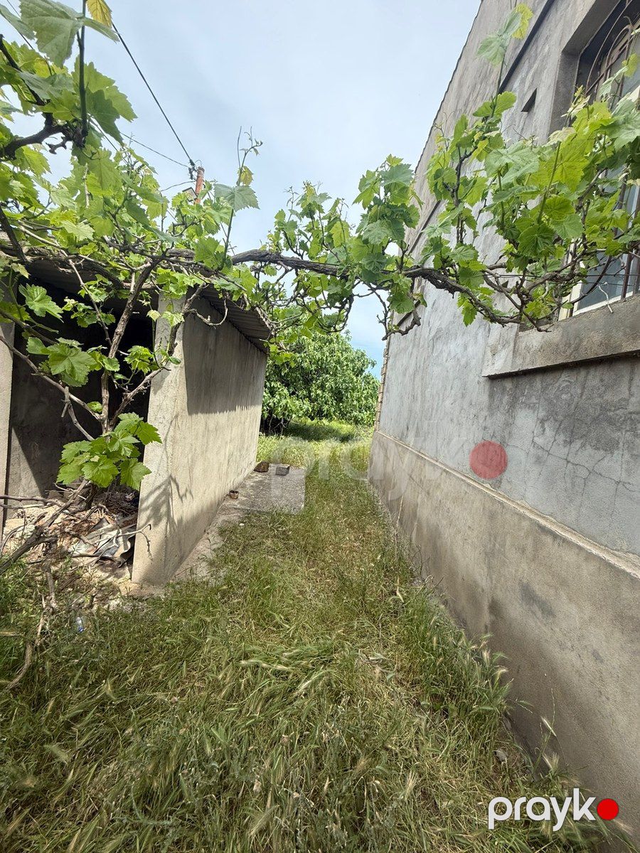 Bağ evi, Albalı qəs — Ev, villa, Bakı (12)