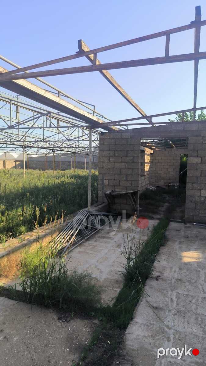Satılır torpaq 72 sot — Torpaq, Bakı (5)