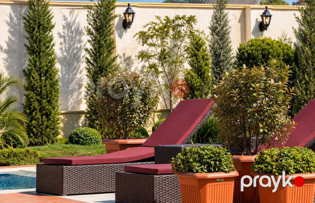 Villa, Mərdəkan qəs — Ev, villa, Bakı (8)
