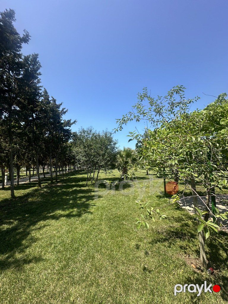 Satılır torpaq 9 sot — Torpaq, Bakı (9)