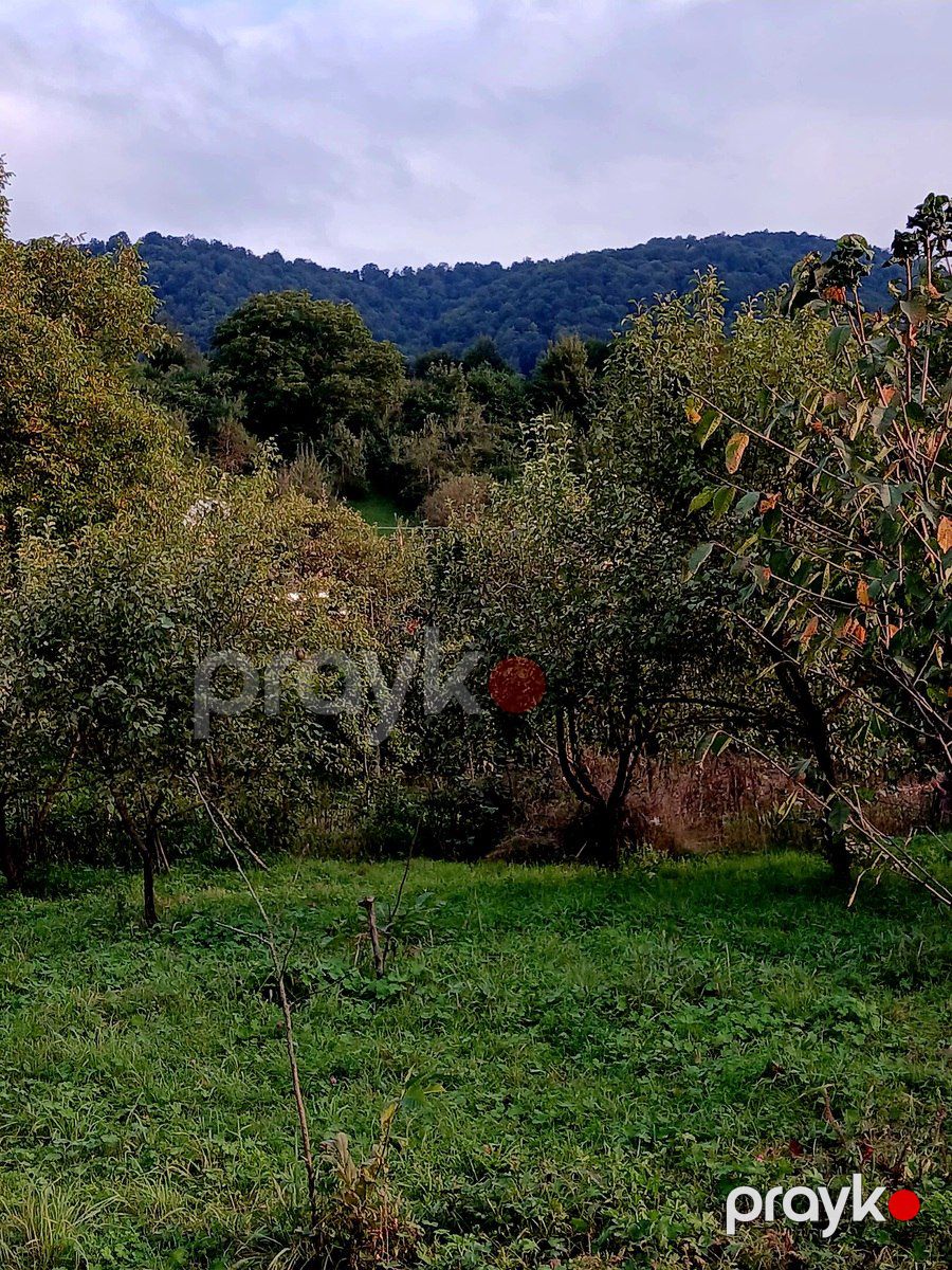 Satılır torpaq 25 sot — Torpaq, Quba (7)
