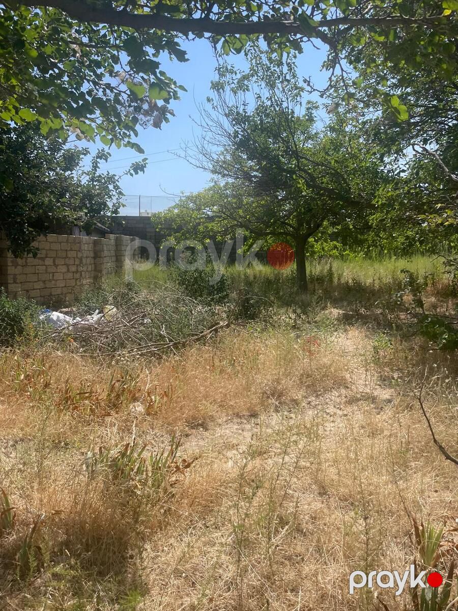 Satılır torpaq 14 sot — Torpaq, Bakı (5)