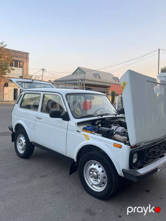Lada (VAZ) Niva, 1.7 L, 2013 il, 186 000 km — Avtomobillər, Ağcabədi (5)