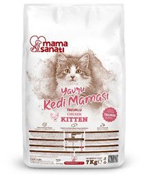 Mamasanatı bala pişiklər üçün toyuq əti ilə yem — Bakı