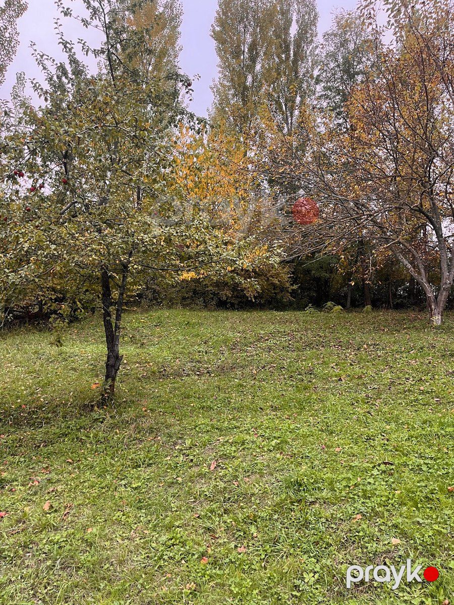 30 sot torpaq sahəsi, Qusar r — Torpaq, Qusar (7)