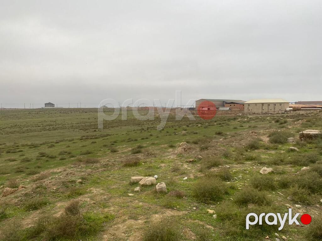Satılır torpaq 366 sot — Torpaq, Bakı (2)