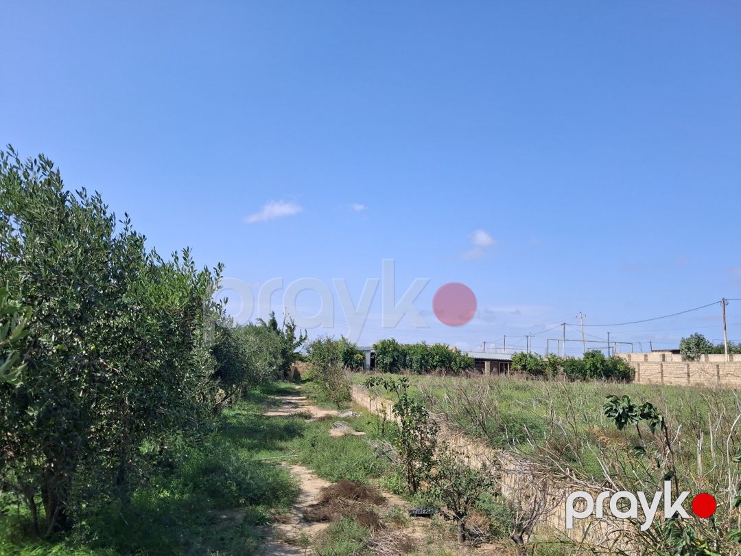 Həyət evi, Zirə qəs — Ev, villa, Bakı (12)