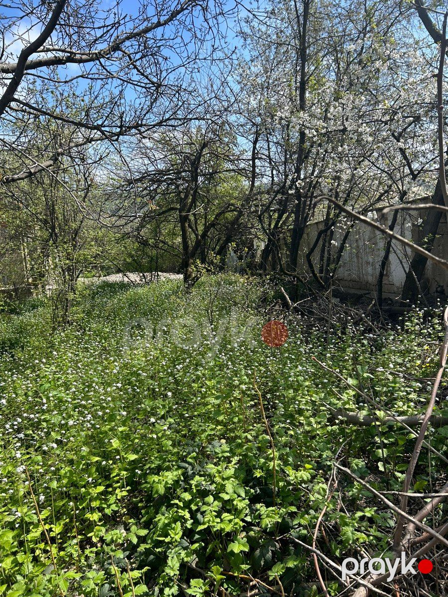 4 sot torpaq sahəsi, Qusar r — Torpaq, Qusar (4)
