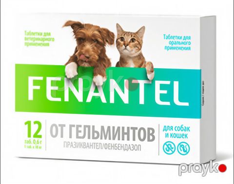Qurd əleyhinə preparat Fenantel, itlər və pişiklər üçün, 12 həb — Bakı