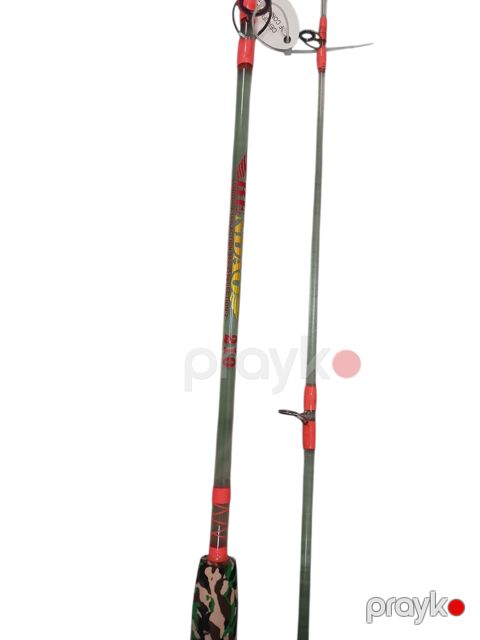 Tilov ağacı 2186301, 1.80 m — Bakı