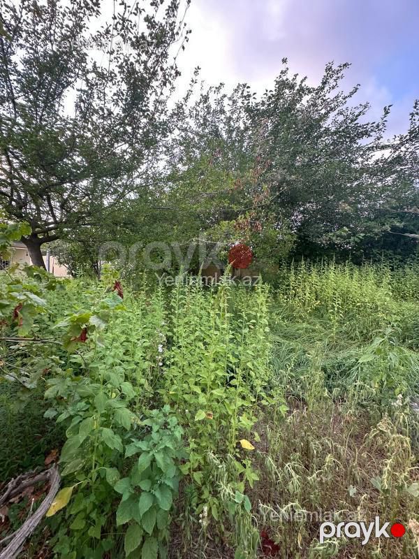 Satılır 3 otaqlı Həyət evi / Villa, 90 m², Qurd dərəsi — Ev, villa, Sumqayıt (10)