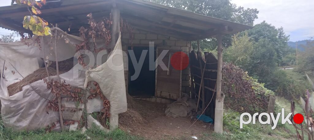 3 otaqlı, 100 kv. m, Kredit yoxdur, Orta təmir — Ev, villa, Astara (6)
