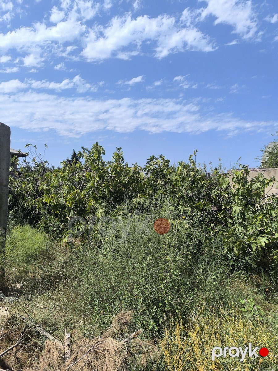 Satılır torpaq 16 sot — Torpaq, Bakı (6)