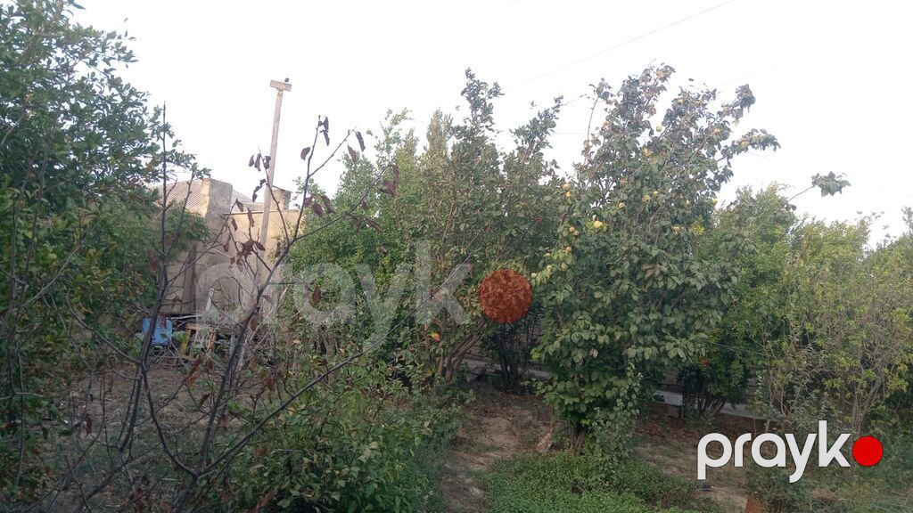 Satılır: həyəti olan fərdi yaşayış evi - Torpaq sahəsi: həyətyanı bağ — Ev, villa, Bakı (3)