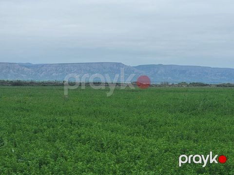 26000 sot torpaq sahəsi, Göyçay r