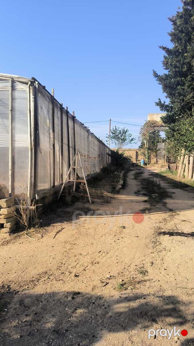 Satılır torpaq 72 sot — Torpaq, Bakı (7)