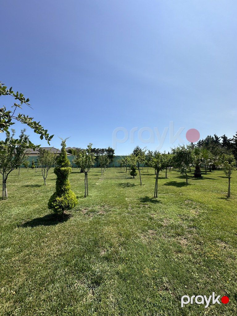 Satılır torpaq 9 sot — Torpaq, Bakı (5)