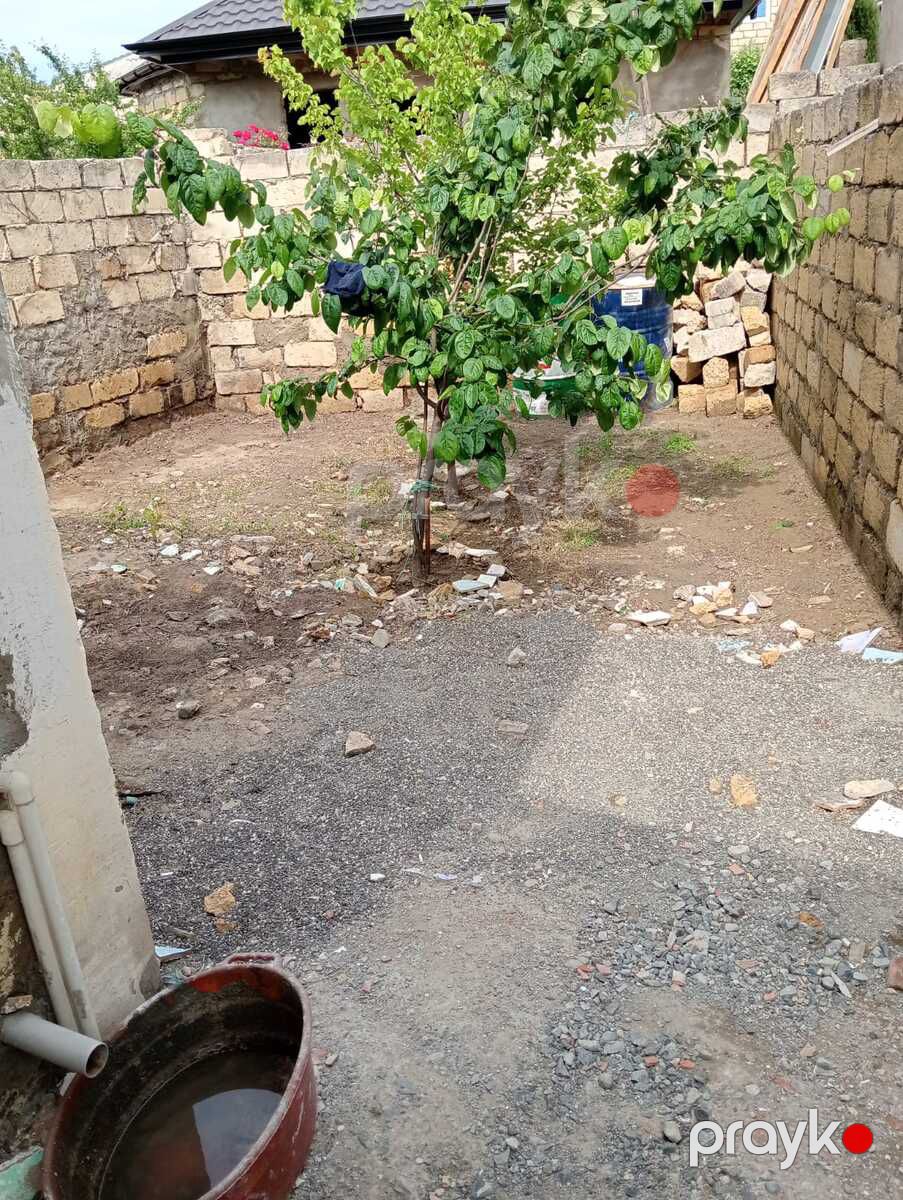 Həyət evi, Biləcəri qəs — Ev, villa, Bakı (11)