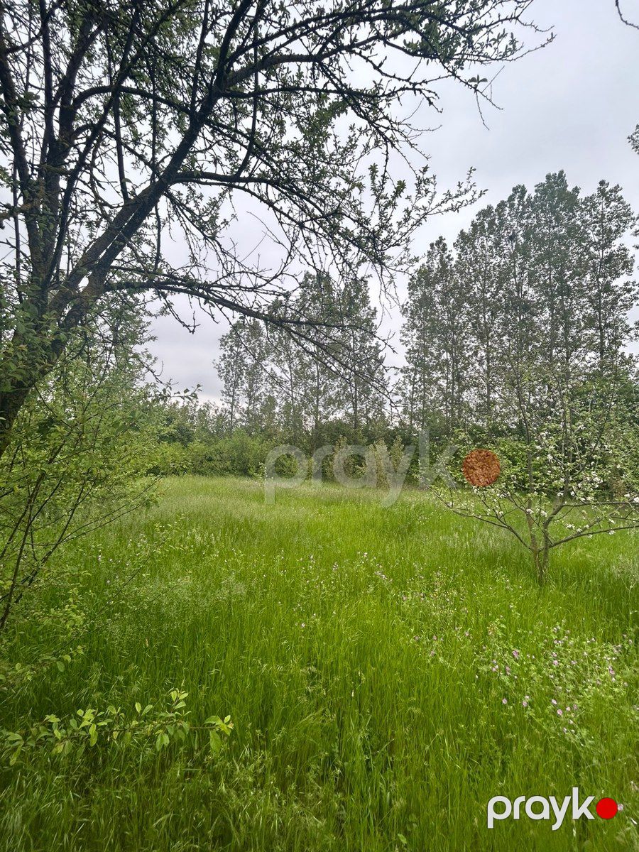 12 sot torpaq sahəsi, Qusar r — Torpaq, Qusar (3)