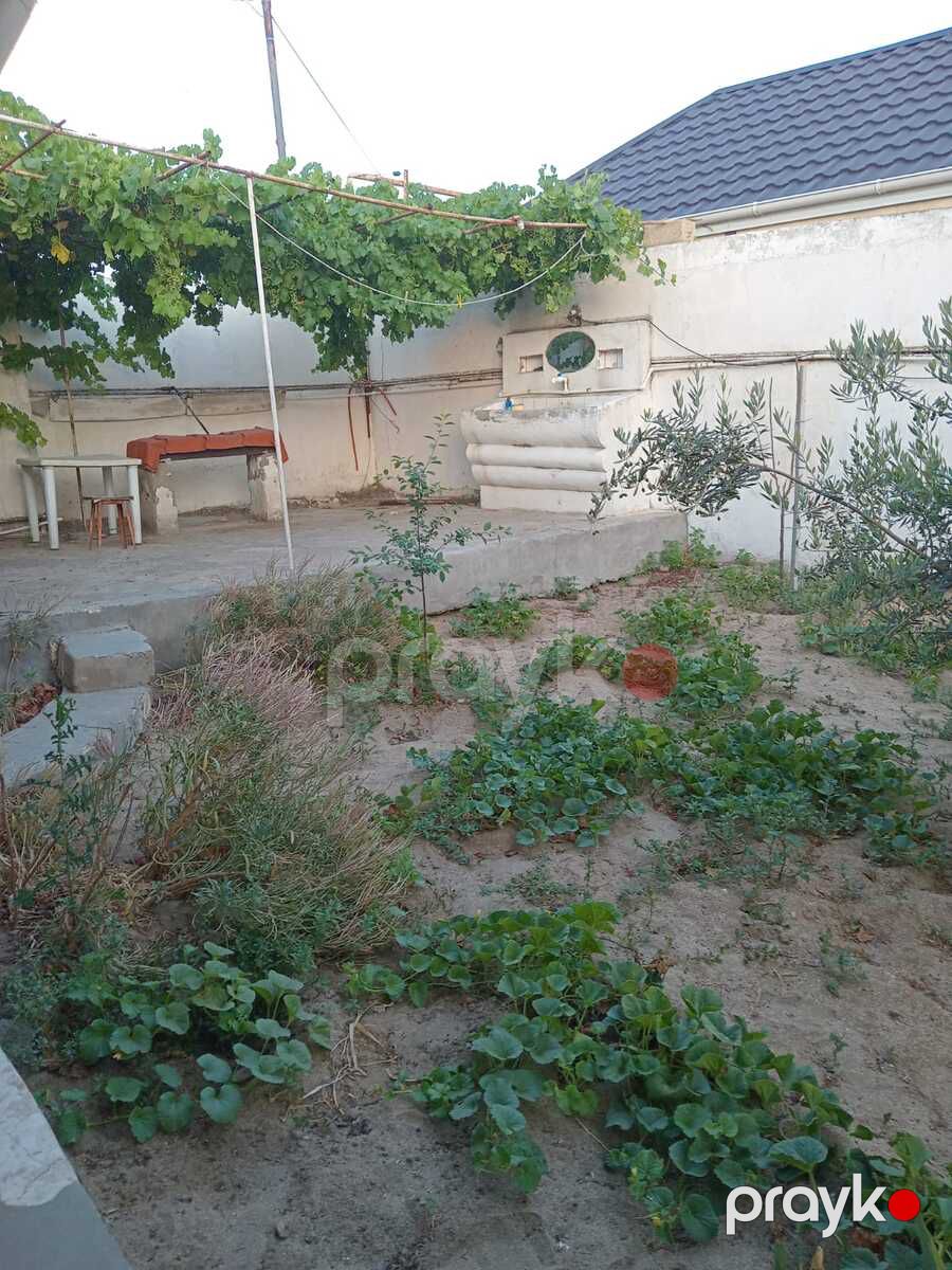 Satılır 3 otaqlı həyət evi/bağ evi 65 m² — Ev, villa, Bakı (3)