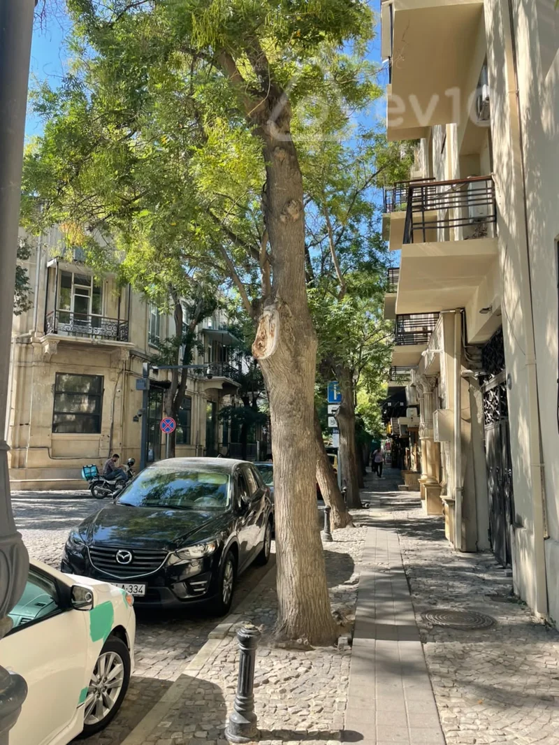 3 otaqlı mənzil, 100 m², Fəvvarələr Meydanı — Mənzil, Bakı (10)