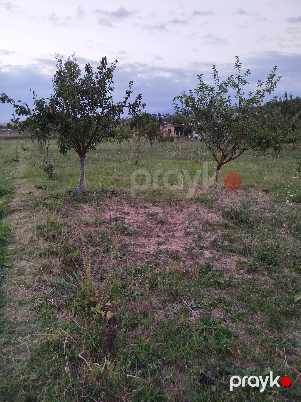 25 sot, Tikinti, Mülkiyyətçi, Kupça (Çıxarış) — Torpaq, İsmayıllı (3)