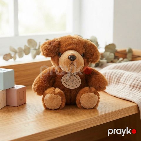 Yumşaq oyuncaq, peluş, qəhvəyi, 3+ yaş — Bakı