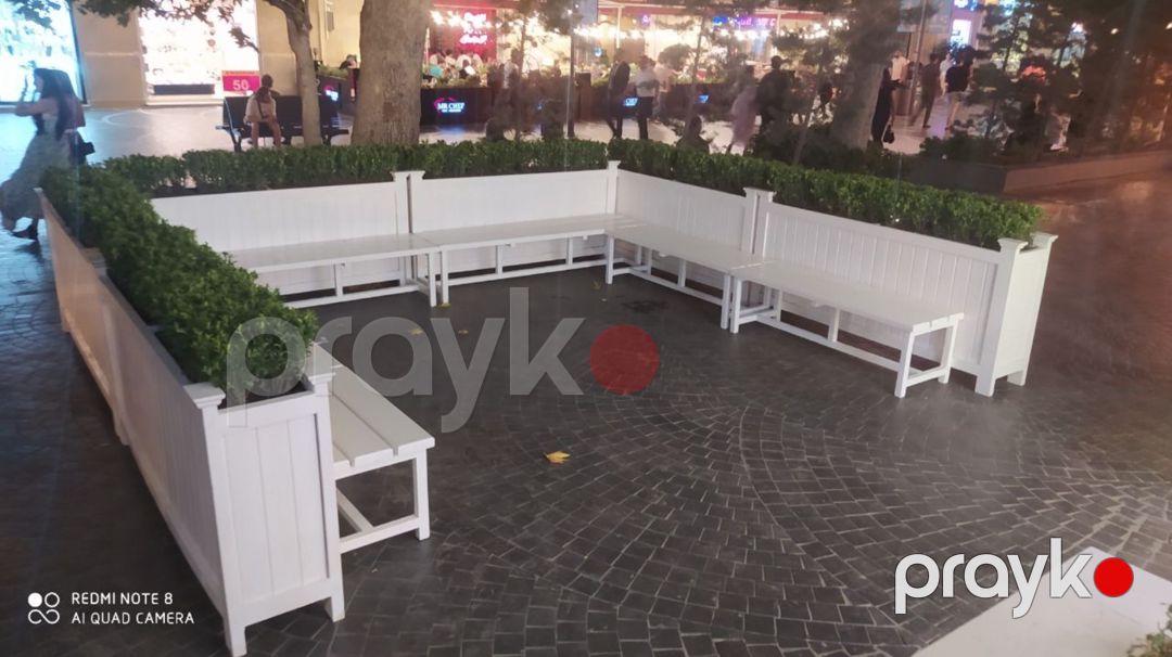 Taxta dibçək — Bitkilər, Bakı (4)