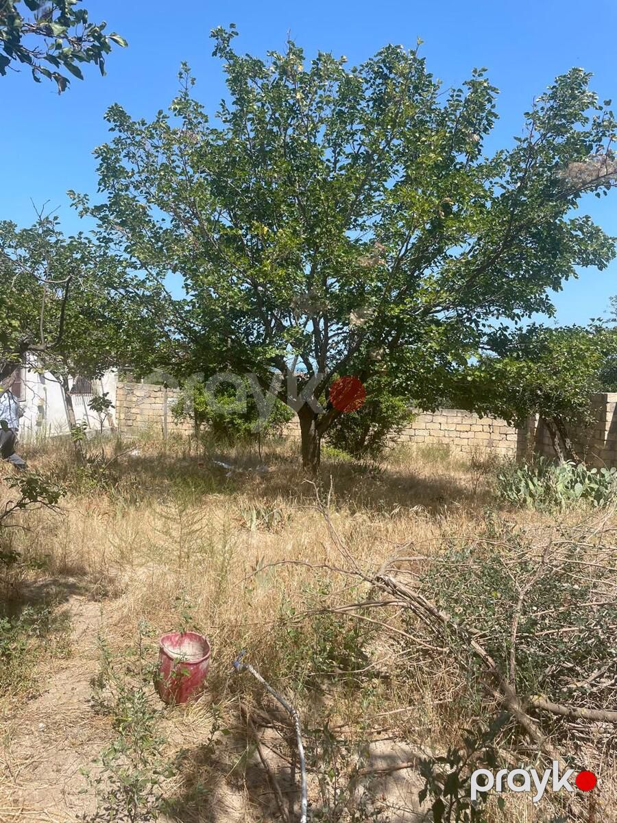 Satılır torpaq 16 sot — Torpaq, Bakı (8)